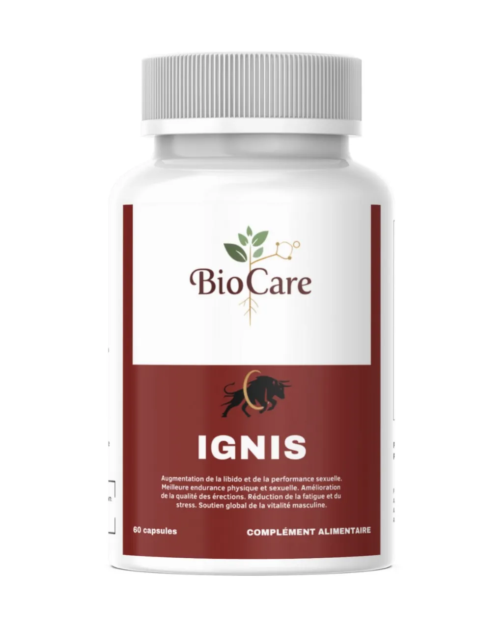 IGNIS